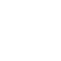 Tree on fire