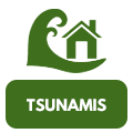 Tsunamis